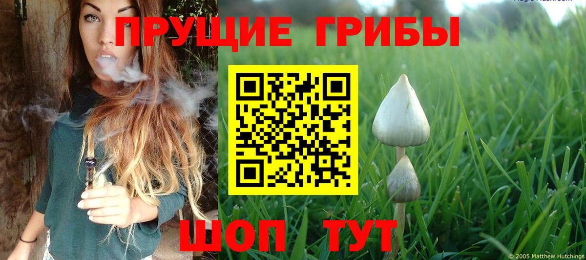 Домодедово  Псилоцибиновые грибы Psilocybe  Вход с VPN  Псилоцибиновые грибы ЛСД 
