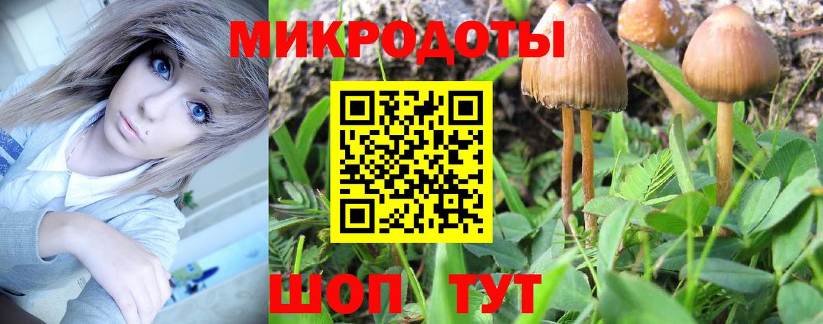 Псилоцибиновые грибы ЛСД Домодедово